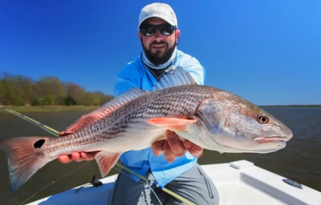 flounder-size-limits-by-state-active-beach-fishing