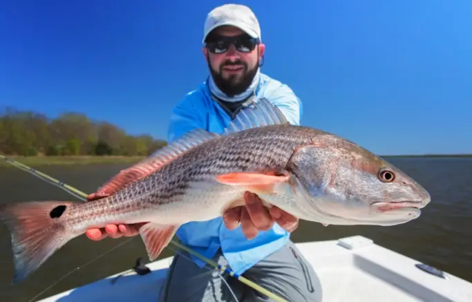 Redfish Limits By State
