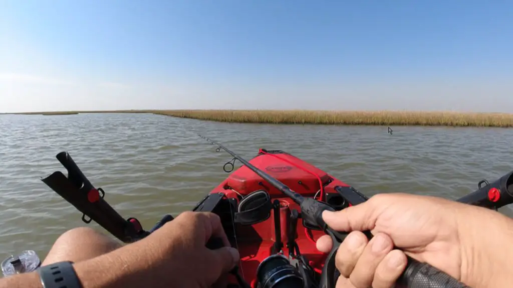 Saltwater Fishing